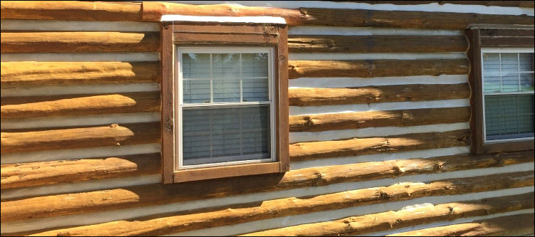 Log Home Whole Log Replacement  Hanover County, Virginia
