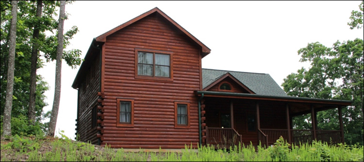 Professional Log Home Borate Application  Hanover County, Virginia